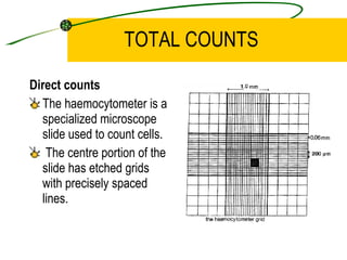 Counting Micro Organisms | PPT
