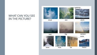 WHAT CAN YOU SEE
IN THE PICTURE?
 