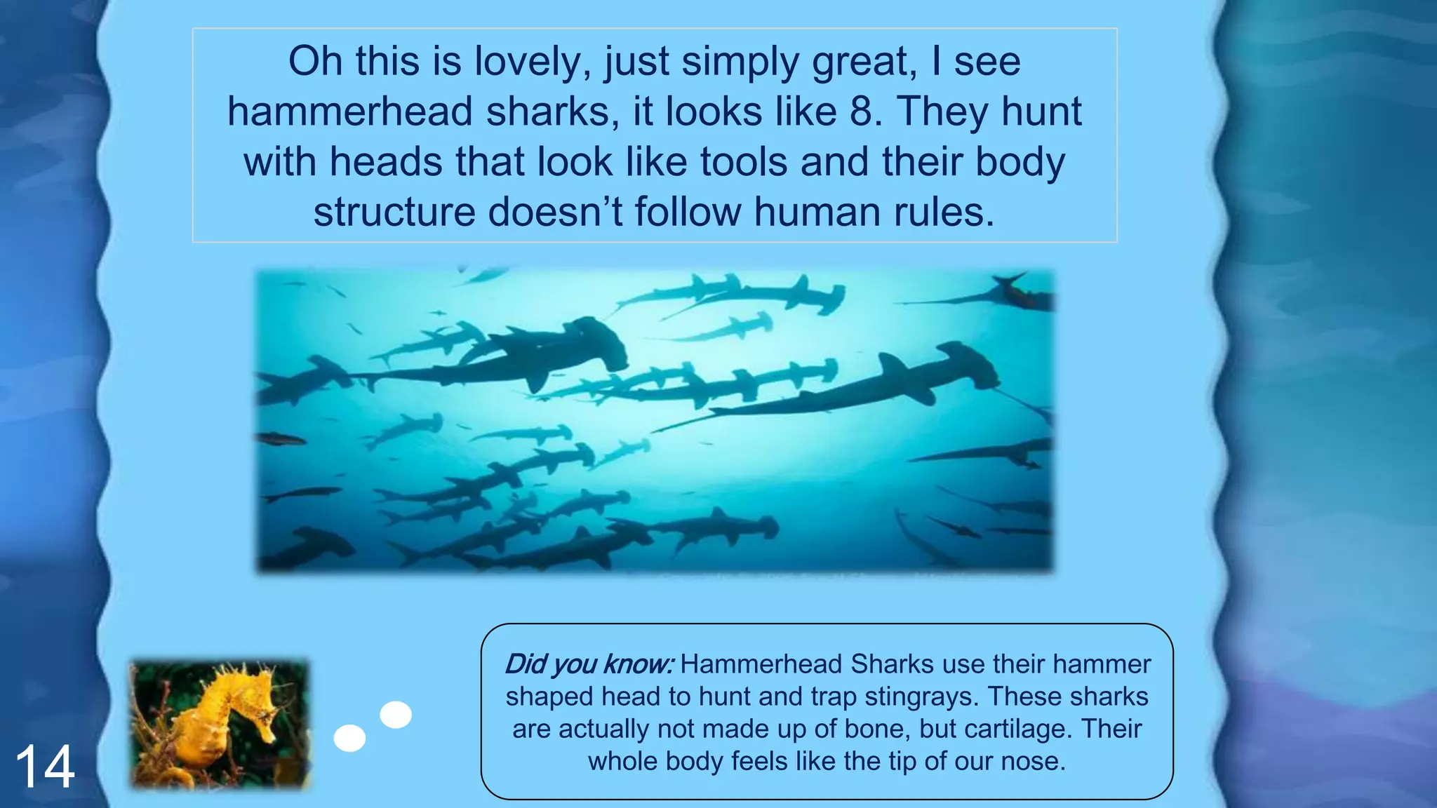 14
Oh this is lovely, just simply great, I see
hammerhead sharks, it looks like 8. They hunt
with heads that look like tools and their body
structure doesn’t follow human rules.
Did you know: Hammerhead Sharks use their hammer
shaped head to hunt and trap stingrays. These sharks
are actually not made up of bone, but cartilage. Their
whole body feels like the tip of our nose.
 