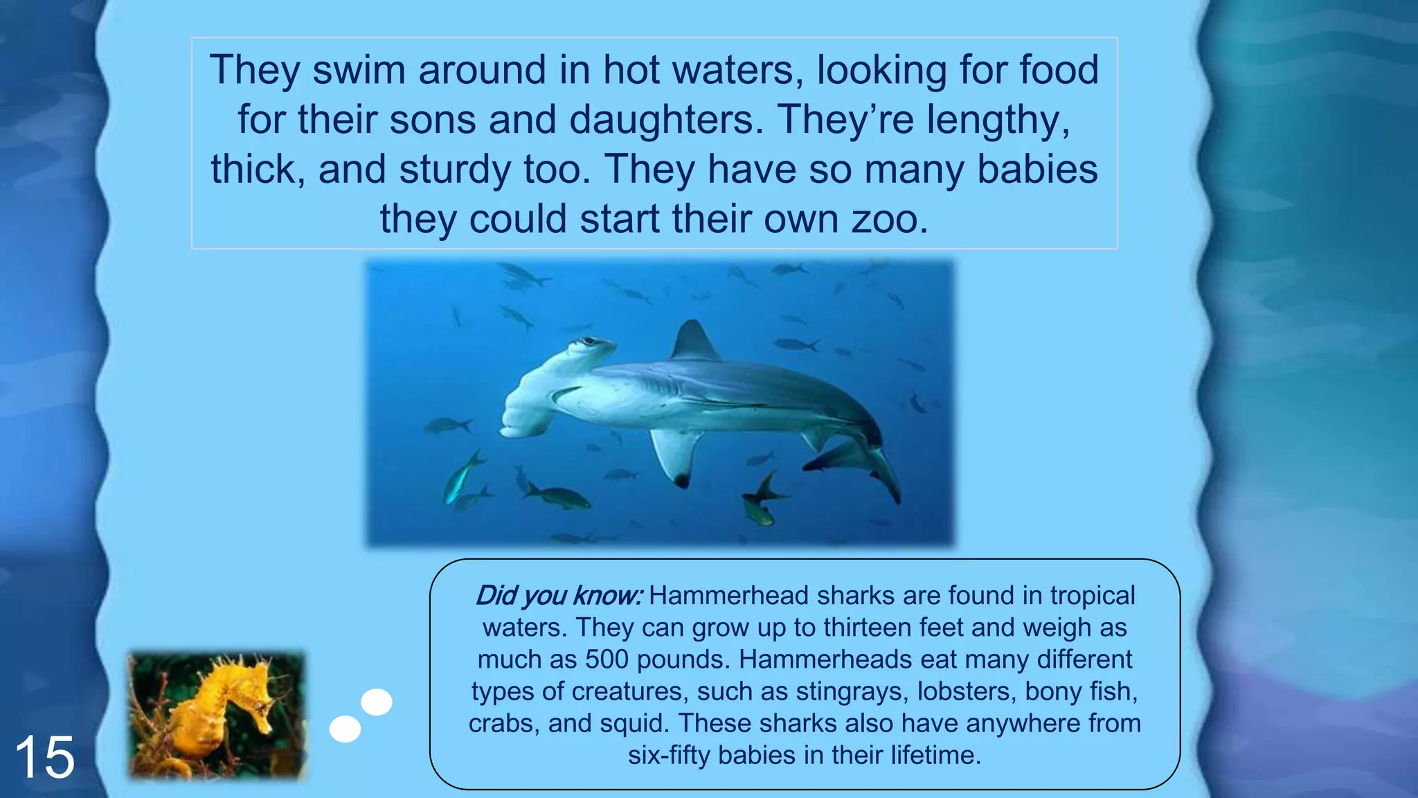 15
They swim around in hot waters, looking for food
for their sons and daughters. They’re lengthy,
thick, and sturdy too. They have so many babies
they could start their own zoo.
Did you know: Hammerhead sharks are found in tropical
waters. They can grow up to thirteen feet and weigh as
much as 500 pounds. Hammerheads eat many different
types of creatures, such as stingrays, lobsters, bony fish,
crabs, and squid. These sharks also have anywhere from
six-fifty babies in their lifetime.
 