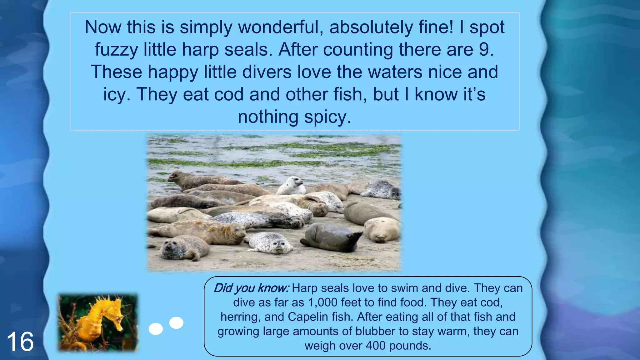 16
Now this is simply wonderful, absolutely fine! I spot
fuzzy little harp seals. After counting there are 9.
These happy little divers love the waters nice and
icy. They eat cod and other fish, but I know it’s
nothing spicy.
Did you know: Harp seals love to swim and dive. They can
dive as far as 1,000 feet to find food. They eat cod,
herring, and Capelin fish. After eating all of that fish and
growing large amounts of blubber to stay warm, they can
weigh over 400 pounds.
 