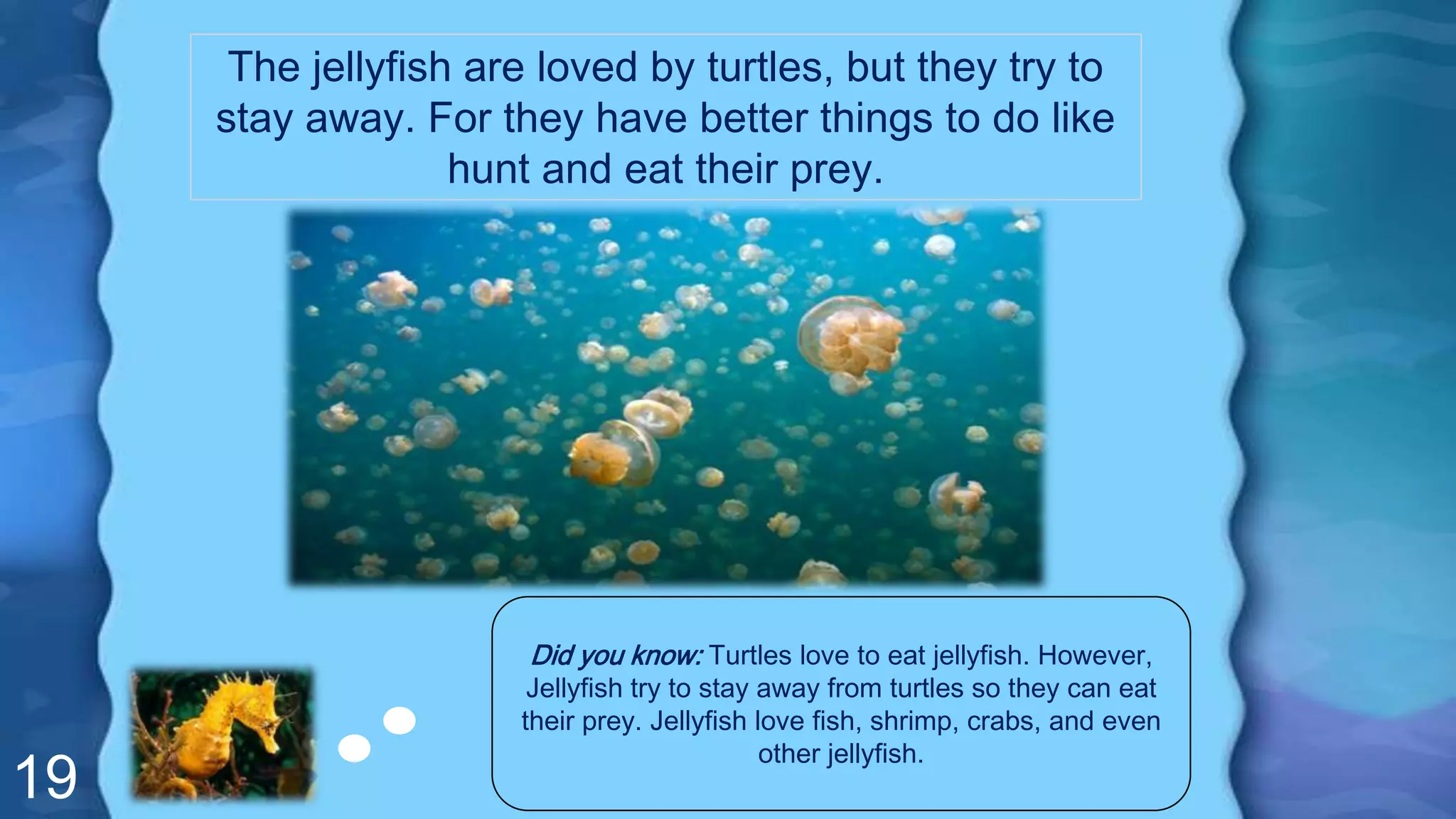 19
The jellyfish are loved by turtles, but they try to
stay away. For they have better things to do like
hunt and eat their prey.
Did you know: Turtles love to eat jellyfish. However,
Jellyfish try to stay away from turtles so they can eat
their prey. Jellyfish love fish, shrimp, crabs, and even
other jellyfish.
 