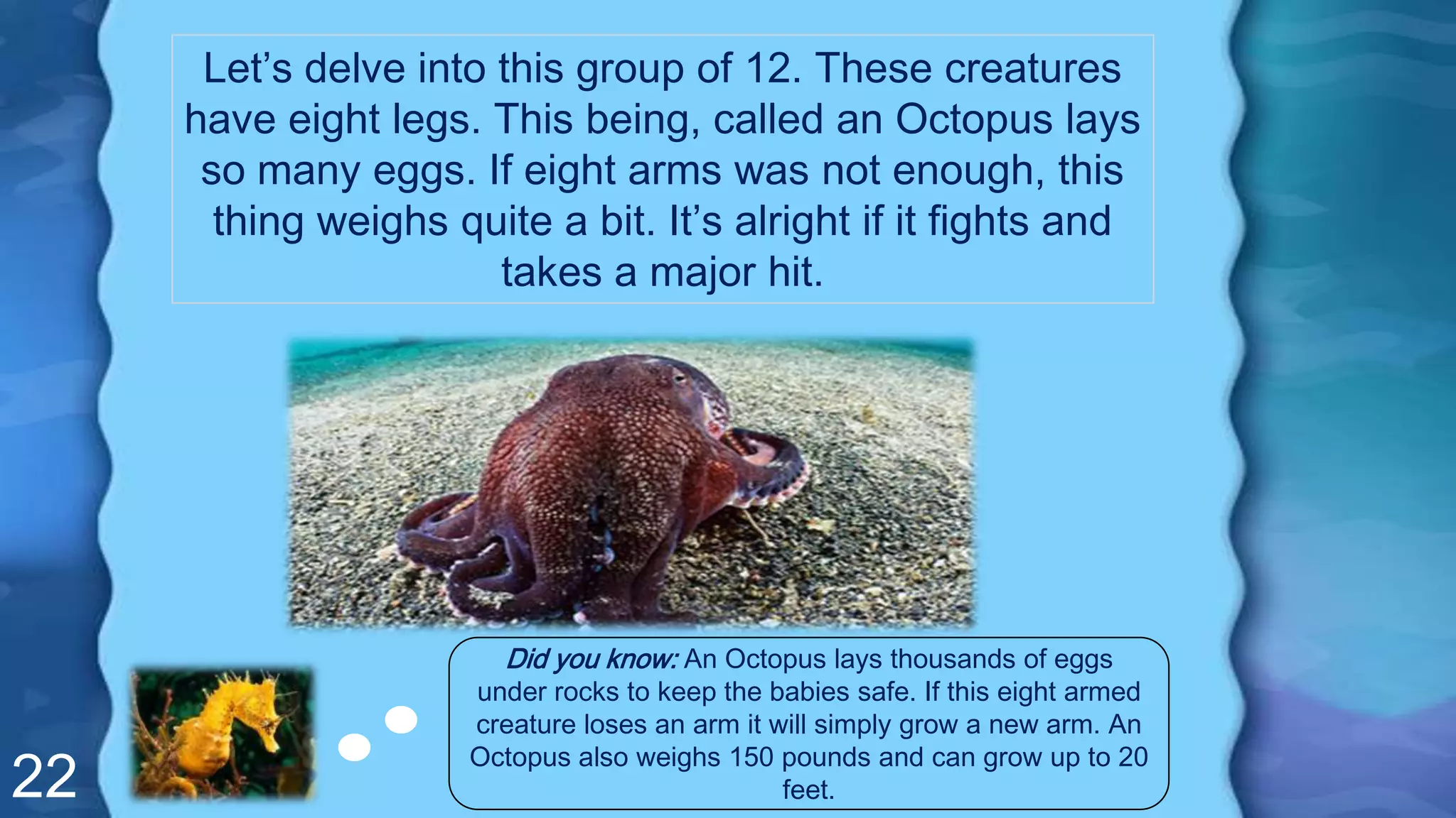 22
Let’s delve into this group of 12. These creatures
have eight legs. This being, called an Octopus lays
so many eggs. If eight arms was not enough, this
thing weighs quite a bit. It’s alright if it fights and
takes a major hit.
Did you know: An Octopus lays thousands of eggs
under rocks to keep the babies safe. If this eight armed
creature loses an arm it will simply grow a new arm. An
Octopus also weighs 150 pounds and can grow up to 20
feet.
 