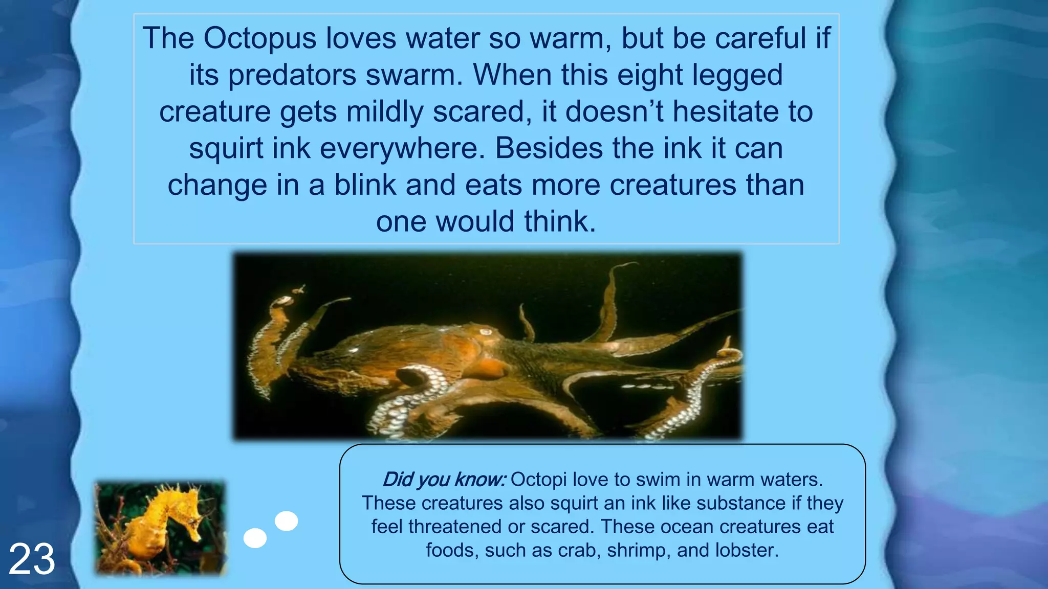 23
The Octopus loves water so warm, but be careful if
its predators swarm. When this eight legged
creature gets mildly scared, it doesn’t hesitate to
squirt ink everywhere. Besides the ink it can
change in a blink and eats more creatures than
one would think.
Did you know: Octopi love to swim in warm waters.
These creatures also squirt an ink like substance if they
feel threatened or scared. These ocean creatures eat
foods, such as crab, shrimp, and lobster.
 