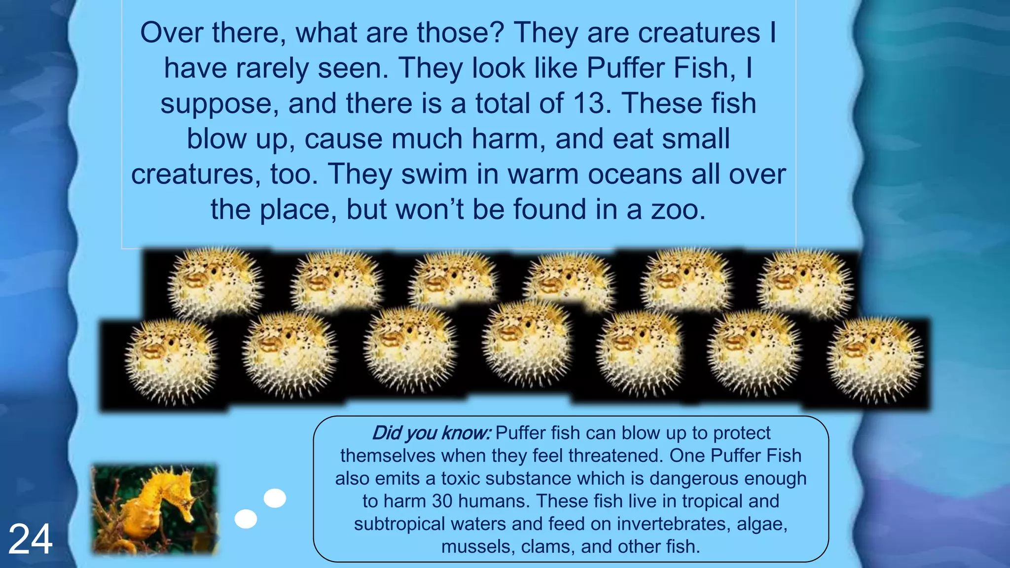 24
Over there, what are those? They are creatures I
have rarely seen. They look like Puffer Fish, I
suppose, and there is a total of 13. These fish
blow up, cause much harm, and eat small
creatures, too. They swim in warm oceans all over
the place, but won’t be found in a zoo.
Did you know: Puffer fish can blow up to protect
themselves when they feel threatened. One Puffer Fish
also emits a toxic substance which is dangerous enough
to harm 30 humans. These fish live in tropical and
subtropical waters and feed on invertebrates, algae,
mussels, clams, and other fish.
 