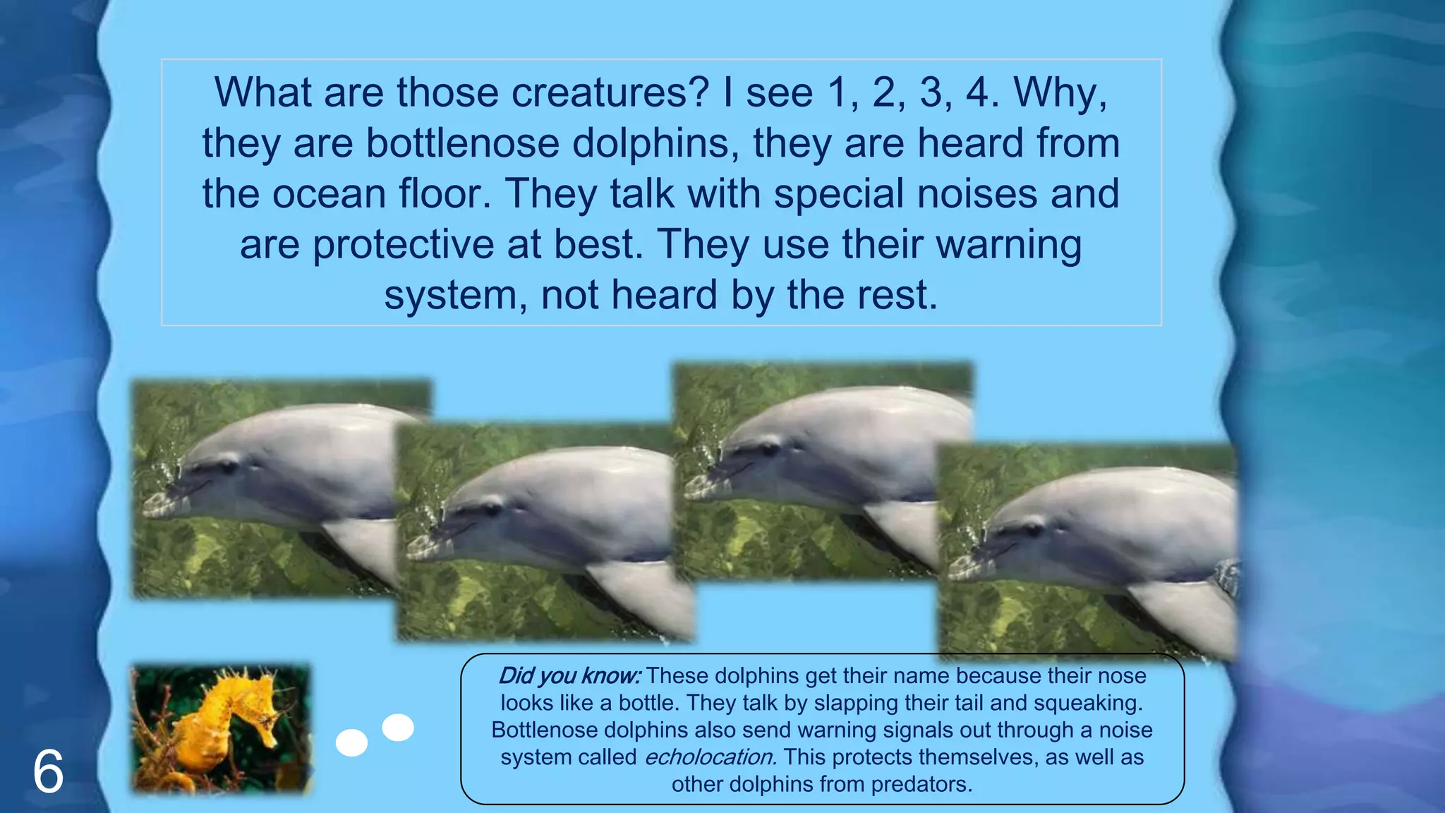 6
What are those creatures? I see 1, 2, 3, 4. Why,
they are bottlenose dolphins, they are heard from
the ocean floor. They talk with special noises and
are protective at best. They use their warning
system, not heard by the rest.
Did you know: These dolphins get their name because their nose
looks like a bottle. They talk by slapping their tail and squeaking.
Bottlenose dolphins also send warning signals out through a noise
system called echolocation. This protects themselves, as well as
other dolphins from predators.
 