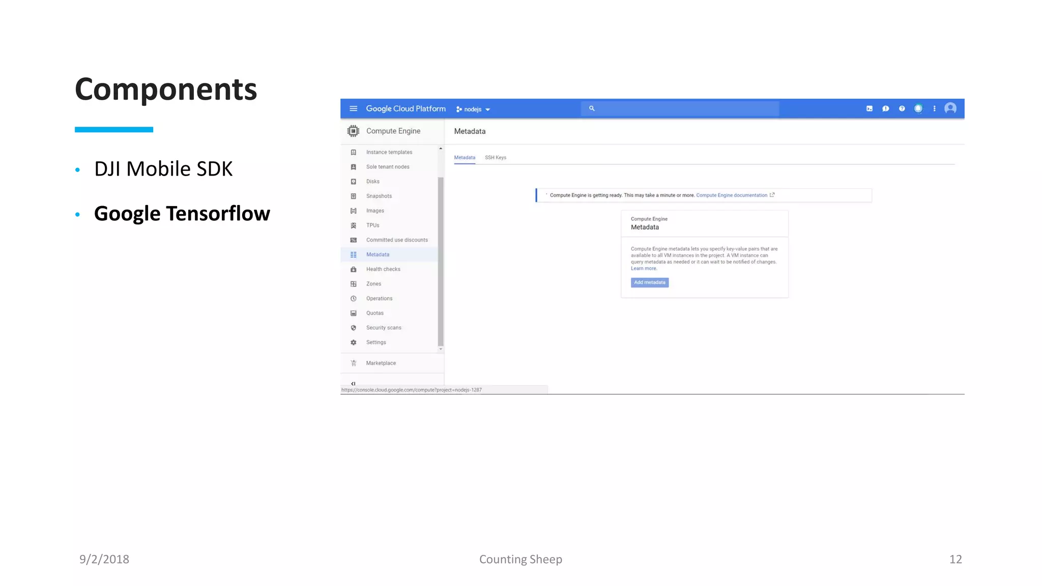 Components
• DJI Mobile SDK
• Google Tensorflow
9/2/2018 Counting Sheep 12
 