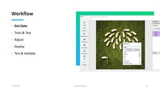 Workflow
• Get Data
• Train & Test
• Adjust
• Deploy
• Test & Validate
9/2/2018 Counting Sheep 15
 