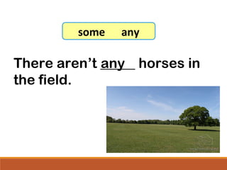 There aren’t _____ horses in
the field.
any
7-8 Let’s Practice
some any
 