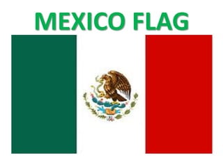 MEXICO FLAG
 