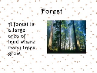 Forest
A forest is
a large
area of
land where
many trees
grow.
 