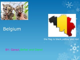 Belgium
BY: Garazi,Beñat and Danel
the flag is black,yellow and red
.
 