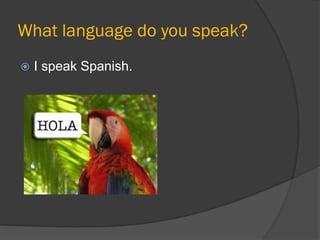 What foreign languages do you speak? 
I speak English and a little bit of French.  