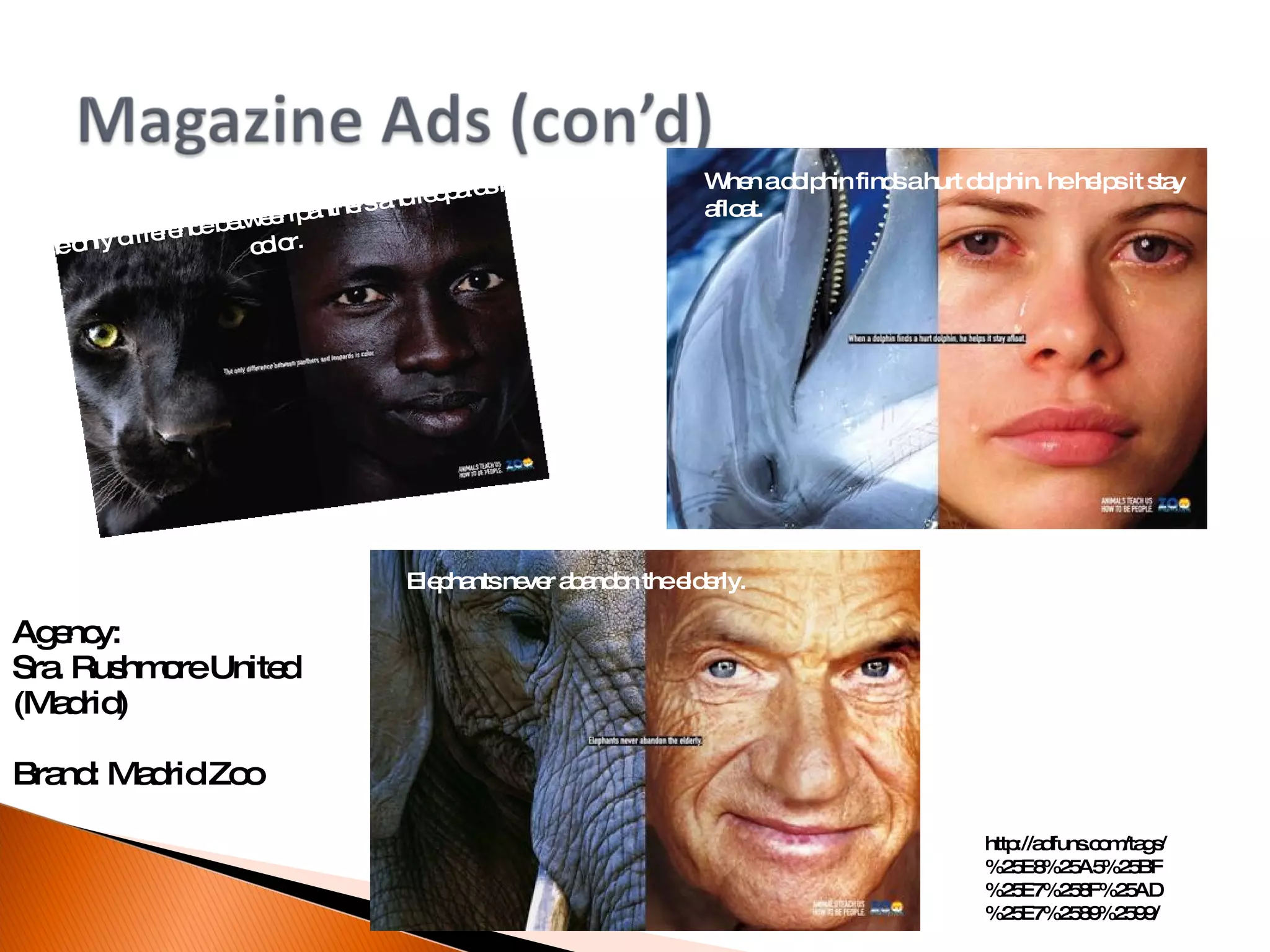 The only difference between panthers and leopards is color. http://adfuns.com/tags/%25E8%25A5%25BF%25E7%258F%25AD%25E7%2589%2599/ Agency:  Sra. Rushmore United (Madrid)  Brand: Madrid Zoo When a dolphin finds a hurt dolphin. he helps it stay afloat. Elephants never abandon the elderly. 