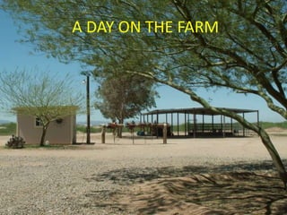 A DAY ON THE FARM 