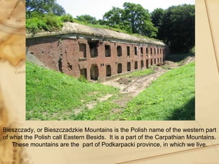 Bieszczady, or Bieszczadzkie Mountains is the Polish name of the western part
of what the Polish call Eastern Besids. It is a part of the Carpathian Mountains.
   These mountains are the part of Podkarpacki province, in which we live.
 