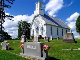 White Pine, Tennessee
 