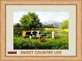 SWEET COUNTRY LIFE 