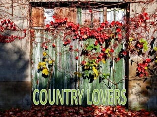 COUNTRY LOVERS 