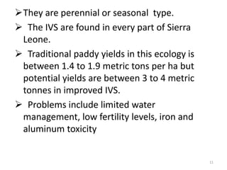 They are perennial or seasonal type.
 The IVS are found in every part of Sierra
 Leone.
 Traditional paddy yields in this ecology is
 between 1.4 to 1.9 metric tons per ha but
 potential yields are between 3 to 4 metric
 tonnes in improved IVS.
 Problems include limited water
 management, low fertility levels, iron and
 aluminum toxicity


                                                11
 