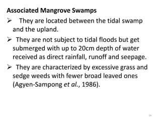 Associated Mangrove Swamps
 They are located between the tidal swamp
  and the upland.
 They are not subject to tidal floods but get
  submerged with up to 20cm depth of water
  received as direct rainfall, runoff and seepage.
 They are characterized by excessive grass and
  sedge weeds with fewer broad leaved ones
  (Agyen-Sampong et al., 1986).



                                                     14
 