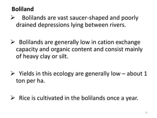 Boliland
 Bolilands are vast saucer-shaped and poorly
 drained depressions lying between rivers.

 Bolilands are generally low in cation exchange
 capacity and organic content and consist mainly
 of heavy clay or silt.

 Yields in this ecology are generally low – about 1
 ton per ha.

 Rice is cultivated in the bolilands once a year.

                                                     15
 