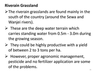 Riverain Grassland
The riverain grasslands are found mainly in the
  south of the country (around the Sewa and
  Wanjei rivers).
 These are the deep water terrain which
  carries standing water from 0.5m - 3.0m during
  the growing season.
 They could be highly productive with a yield
  of between 2 to 3 tons per ha.
 However, proper agronomic management,
  pesticide and no fertilizer application are some
  of the problems.                               16
 