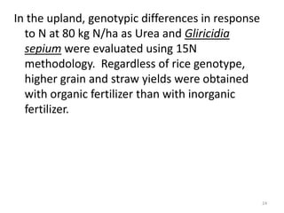 In the upland, genotypic differences in response
  to N at 80 kg N/ha as Urea and Gliricidia
  sepium were evaluated using 15N
  methodology. Regardless of rice genotype,
  higher grain and straw yields were obtained
  with organic fertilizer than with inorganic
  fertilizer.




                                                   24
 