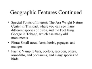 Geographic Features Continued Special Points of Interest: The Asa Wright Nature Center in Trinidad, where you can see many different species of birds, and the Fort King George in Tobago, which has many old monuments Flora: Small trees, ferns, herbs, papayas, and mangos Fauna: Vampire bats, ocelots, raccoon, otters, armadillo, and opossums, and many species of birds 