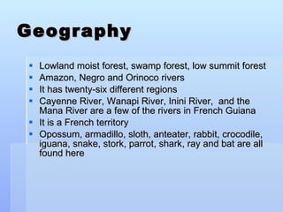 Geography Lowland moist forest, swamp forest, low summit forest Amazon, Negro and Orinoco rivers It has twenty-six different regions Cayenne River, Wanapi River, Inini River,  and the Mana River are a few of the rivers in French Guiana It is a French territory Opossum, armadillo, sloth, anteater, rabbit, crocodile, iguana, snake, stork, parrot, shark, ray and bat are all found here 