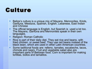 Culture Belize’s culture is a unique mix of Mayans, Mennonites, Kriols, Garifuna, Mestizos, Spanish, English, Lebanese, East Indian and Chinese The official language is English, but Spanish is  used a lot too. The Mayans, Garifuna and Mennonites speak in their own languages.  Religion: Roman Catholic Rice is part of their daily diet. They eat rice and beans, with fried chicken, or sweet beef. They use red beans instead of the black bean, which are used in other Latin American countries. Some taditional foods are: relleno, tamales, escabeche, tacos, chimole and negro. Fruit and vegetable salad also are important parts of Belizean food. Corn is important for making tortillas, bollos and tamalitos . 