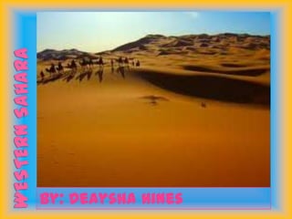 Western Sahara By: Deaysha Hines 