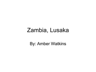Zambia, Lusaka By: Amber Watkins 