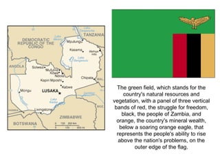 The green field, which stands for the country's natural resources and vegetation, with a panel of three vertical bands of red, the struggle for freedom, black, the people of Zambia, and orange, the country's mineral wealth, below a soaring orange eagle, that represents the people's ability to rise above the nation's problems, on the outer edge of the flag. 