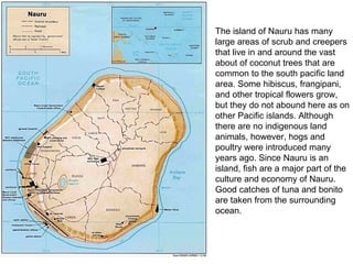 The island of Nauru has many large areas of scrub and creepers that live in and around the vast about of coconut trees that are common to the south pacific land area. Some hibiscus, frangipani, and other tropical flowers grow, but they do not abound here as on other Pacific islands. Although there are no indigenous land animals, however, hogs and poultry were introduced many years ago. Since Nauru is an island, fish are a major part of the culture and economy of Nauru. Good catches of tuna and bonito are taken from the surrounding ocean. 
