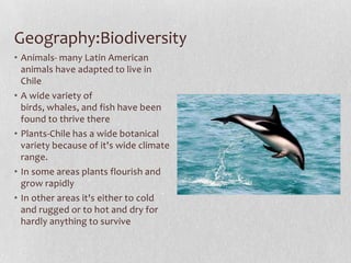 Geography:BiodiversityAnimals- many Latin American animals have adapted to live in ChileA wide variety of birds, whales, and fish have been found to thrive therePlants-Chile has a wide botanical variety because of it's wide climate range. In some areas plants flourish and grow rapidlyIn other areas it's either to cold and rugged or to hot and dry for hardly anything to survive