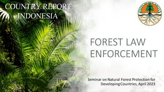 FOREST	
  LAW	
  
ENFORCEMENT
Seminar	
  on	
  Natural	
  Forest	
  Protection	
  for	
  
Developing	
  Countries,	
  April	
  2023
 