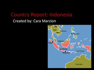 Country Report: Indonesia Created by: Cara Marzion 