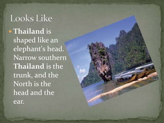 FoodThai people really like hot pepper and they eat it mostly on everything.(Ex. ant egg)