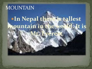 GODBuddha is the God which was born in Nepal. Buddhism is one of the important religions practiced in Nepal.