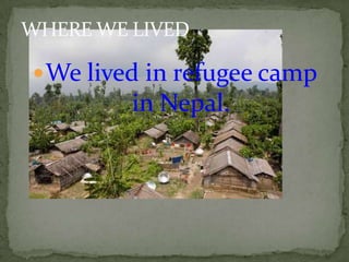 National Animal of Nepalcow