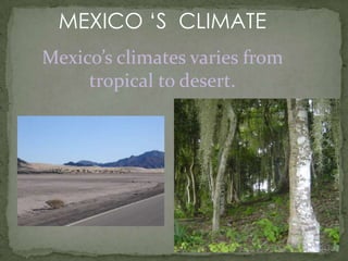 MEXICO’S POPULATION Mexico’s population is 104,959,594