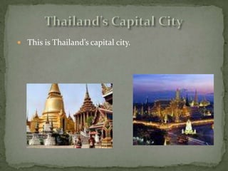 Population of ThailandThe population of Thailand is 67,764,033.