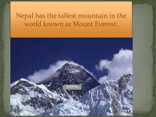 These are the foods they eat in Nepal