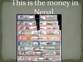 I hope you learned a lot about Nepal. 