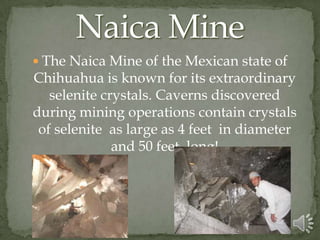 Mexico’s Economy Most of the economy is agriculture: 18%, industry: 24%, services: 58% .