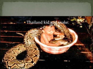 ThailandThis is  a Thailand girl.