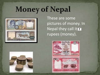 Animals in NepalCow is the national animal of Nepal. Peacock and  Humming    bird are the birds that lives in Nepal.