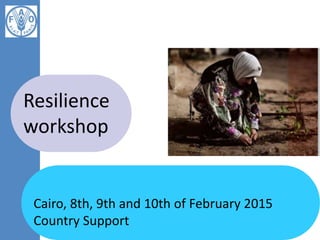 Cairo, 8th, 9th and 10th of February 2015
Country Support
Resilience
workshop
 