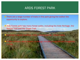 ARDS FOREST PARK
 There are a large number of trails in this park giving the walker the
opportunity to explore.
 Ards Forest park has many forest walks, including the Ards Heritage, the
Nature Trail and the Green Trail.
 It contains sandy beaches, rivers, viewing points, nature walks.
 It also contains many historic buildings including ring forts and magalithic
tombs.

 